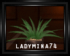LM:Mini Plant