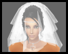 (DP)White Wedding Veil