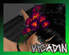 Black Veil Celestial