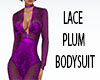 [JD] Lace Plum Bodysuit