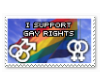 i support gay rights
