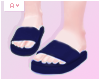 Ⓐ Navy Slippers