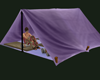 J4lM/tent001-purple