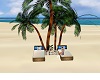palm beach chairs