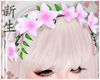 ☽ Lily Flowers