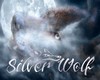 #Silver Wolf