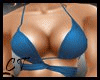 Sexy Bra Top Blue