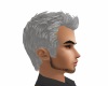 Silver Messy Hair