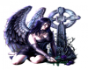Evil Angel