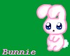 [C] Bunnie