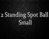 Standing Spot Small Ball