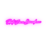 Skate Zone Banner