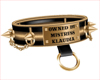 Mistress Klaudia Collar