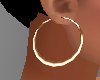 ~CR~Animated Gold Hoops