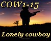 *X  COW1-15- COWBOYS