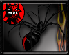 ~R Angry Redback spider