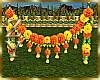 ZY: Marigold Galand 2
