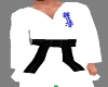 kyokushiken Karateji