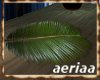 *A*  Rug palm leaf