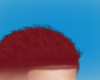 Cria Bh Vermelho