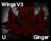 Ginger Wings V3