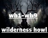 ♫C♫ Wilderness...