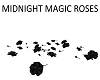 Midnight Magic Roses