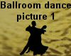 (MR) ballroom dancers 1