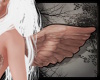+Devine Wings - bronze