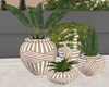 J|Decorative Plant Set 3