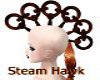 SteamPunk Hawk
