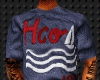 [AS] Hollister Shirt