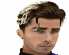 Brad Brown Blonde Tips