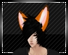 [F] The Fox ears