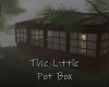 ~SB The Lil Pot Box Dcd