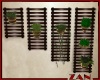 Zan's elegant wall plant