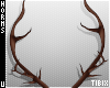 Marsh Horns V2