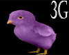 !3G violet baby chick