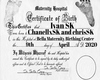 Custom Birth Certificate