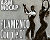 FLAMENCO Couple 01 Dance