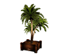 Potted Palm Delux 01