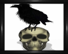 Grunge Skull w/Raven