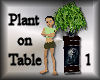 [my]Plant on Table 1