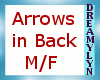 !D Arrows in Back M/f