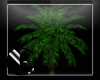 |IGI| Palm Tree Animated