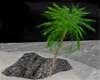 Single 3D palm tree