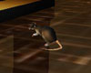 Mice Animation Furniture