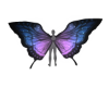 Galaxy butterfly wings