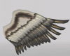 |Anu|B.Old Wings*