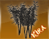 |Kira| Shadow Tree